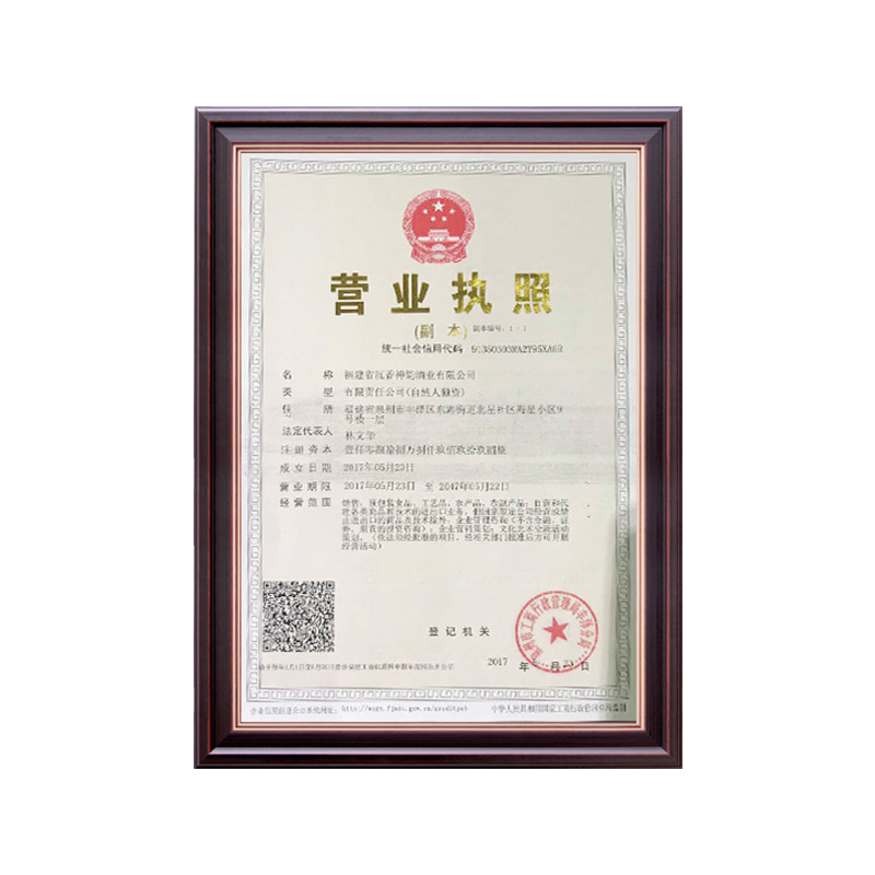 企业营业执照
