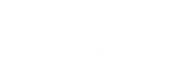 目标